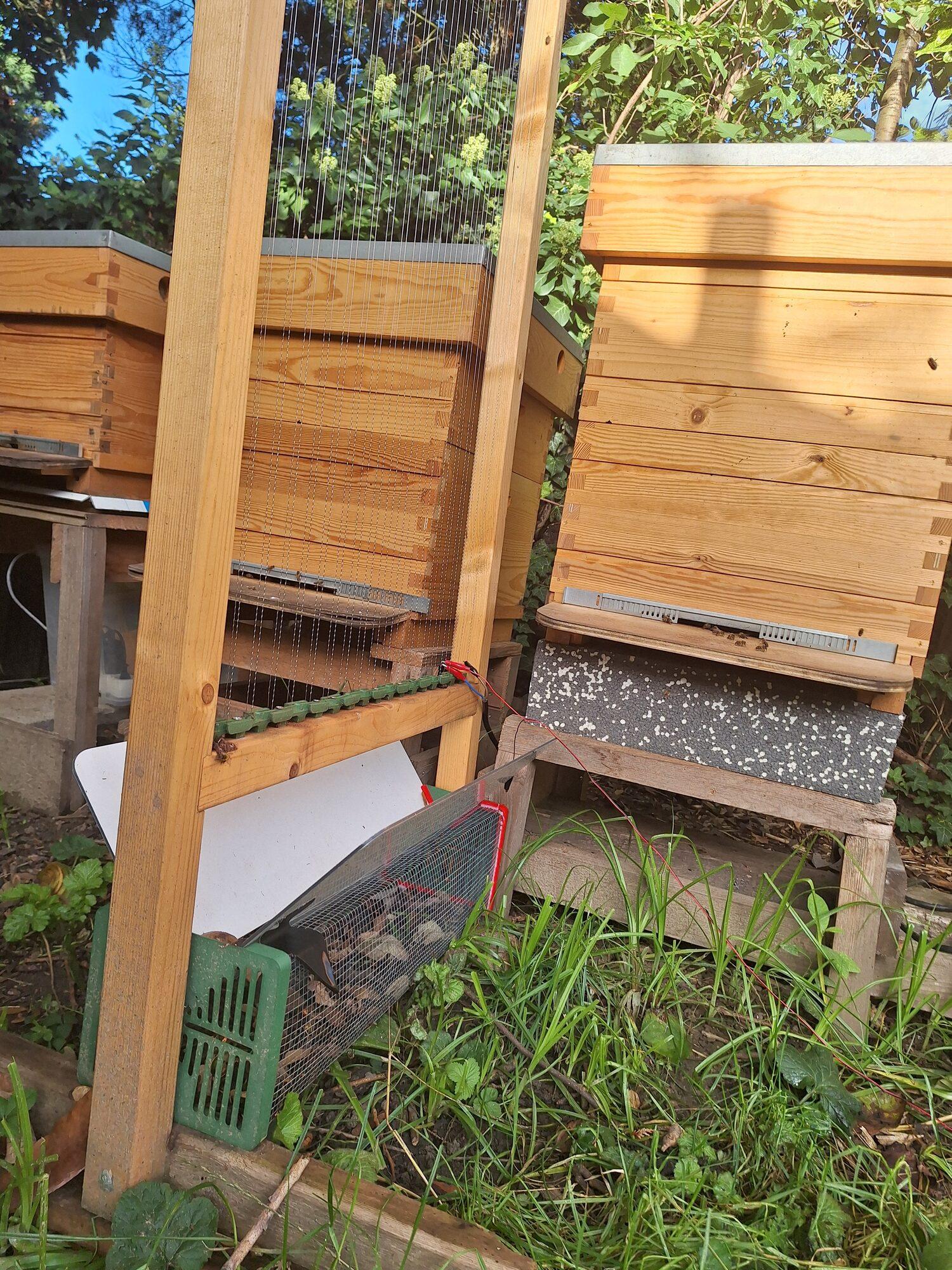 De afgewerkte harp